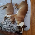 Buddy Wood - @buddy.wood - Instagram