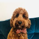 Buddy Wood - @buddywood24 - Instagram