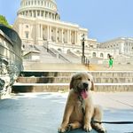 Buddy Wood - @buddy_onthehill - Instagram