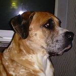 Buddy Wood - @billtammy63 - Instagram