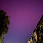 Buddy Woodbridge - @buddy_woodbridge - Instagram