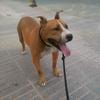 buddy_woody - @buddy_woody - TikTok