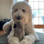 Buddy D. Wright - @buddy.d.wright - Instagram