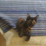 Buddy Wright - @buddy.wright.798 - Instagram