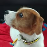 Buddy Wright - @buddy_wrig - Instagram