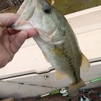 Buddy Wright - Facebook