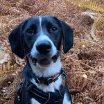 Buddy Young - @alwaysmuddybuddy - Instagram