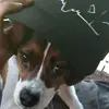 buddyyoung420 - @buddyyoung420 - TikTok