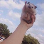 Buffy Moore - @buffomatic - Instagram