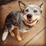 Buffy Moore - @roothedayto - Instagram