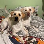 Buffy Moore McCaffrey - @buffy_m12 - Instagram