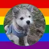 buffymoore375 - @buffymoore375 - TikTok