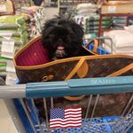 Buffy Lail Smith - @buffy49 - Instagram
