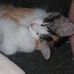 Buffy Spencer - Facebook