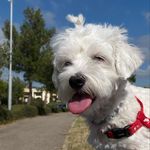 @buffy_white_queen - Instagram