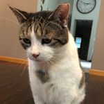Buford T Justice - @buebuepapa - Instagram