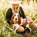 Buford T. Justice - @buford_the_basset - Instagram