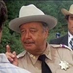 Buford T. Justice - @sheriffbufordteajustice - Instagram