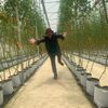 Bui phong - @bui.phong663 - TikTok