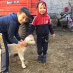 Bülent Cengiz - @bulentcengiz2626 - Instagram