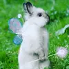 Stanley the Bunny Princess - @stanley_the_bunny - TikTok