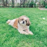 Murphy Burke - @murphy_burke_ - Instagram