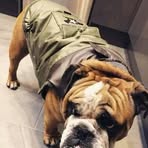 Williams Burke Garrett - Facebook
