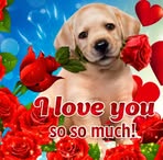 Burleson Smith - Facebook