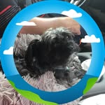 Elaine Burley-Smith - @elaineburleysmith - Instagram
