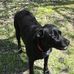 Jennifer Burns Smith - Facebook