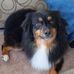 Burt Christensen - Facebook