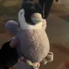harrison burt - @harrison.burt5 - TikTok