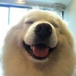 Burt White - @burt.white - Instagram