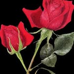 Bushra Rahim - @bushra.rahim.735 - Instagram