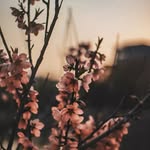 Bushra Rahim - @rahim_bushra - Instagram