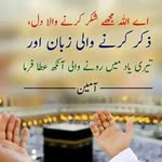 Bushra Rahim - @bushrarahim71 - Instagram