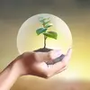 🍃•|| بُشْــرَىٰ•❥༺ - @xbushrasaidx - TikTok