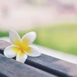 Bushra - @bushra._.said - Instagram
