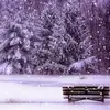 Bushra Said - @user6820850057678 - TikTok