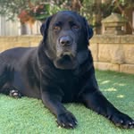 Buster Boy - @buster_bundy_jordan - Instagram
