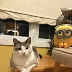 Buster J Smith - Facebook