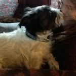 Buster Smith - @prince.busterboy - Instagram