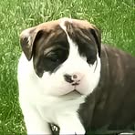 Buster Smith - Facebook