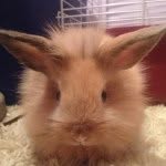 Buster Smith - @busterbunnies - Instagram