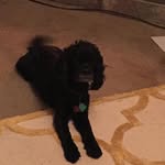 Buster Smith - @buster040299 - Instagram