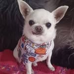 Buster Smith - @busterbear3 - Instagram