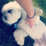 Buster Smith - @smith_buster - Instagram