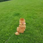 Buster Smith - @buster.smith.73932 - Instagram
