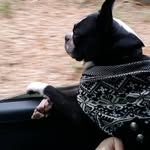 Buster Smith - @marksmith2081 - Instagram