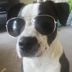 Buster Smith - @buster_the_staff_25 - Instagram